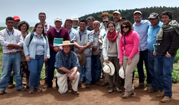Dia campo quinoa