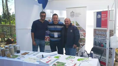 Expo Navidad 2015