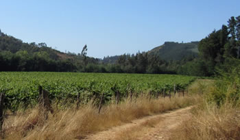 agroecosistemas
