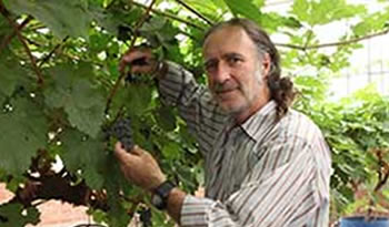 jantonio alcaldel