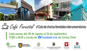 not cafe forestal