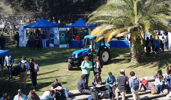 not feria laboral