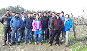 proyecto peralillo