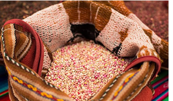 quinoa congreso