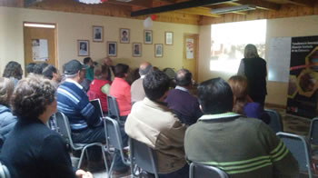 taller apicola
